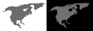 Kuzey Amerika harita altıgen soyutlama