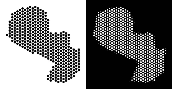 Altıgen Paraguay harita. Vektör bölge planı içinde siyah ve beyaz değişik. Soyut Paraguay harita kavram hex-kiremit noktalardan yapılır.