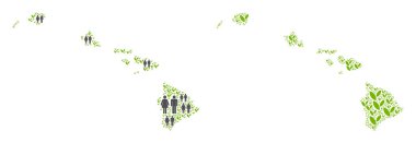 Nüfus ve Flora Havaii Adaları Haritası