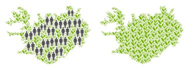 Demografi ve Flora Iceland harita