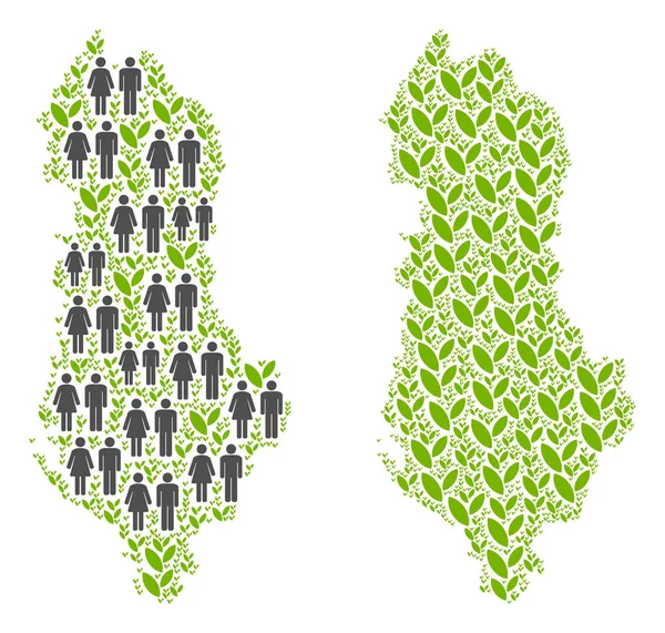 Demografi ve çiçek Arnavutluk Haritası