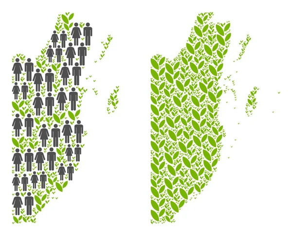 Demografi ve Flora Belize Haritası