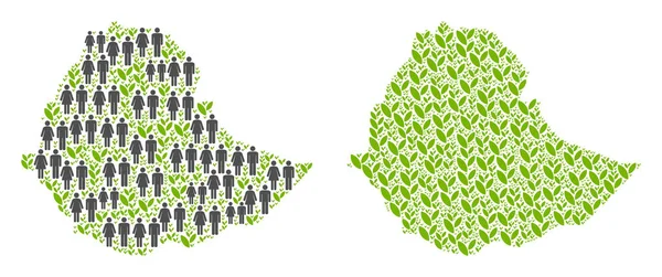 Demografi ve Flora Etiyopya Haritası