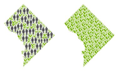 İnsanlar ve Flora Washington Dc göster