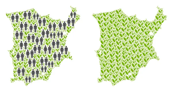 Demografi ve Flora Koh Samui Haritası