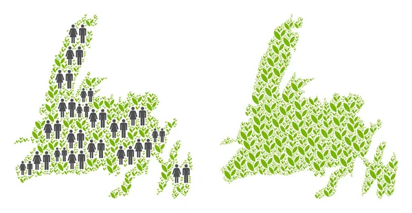 İnsanlar ve tarım Newfoundland Adası Haritası