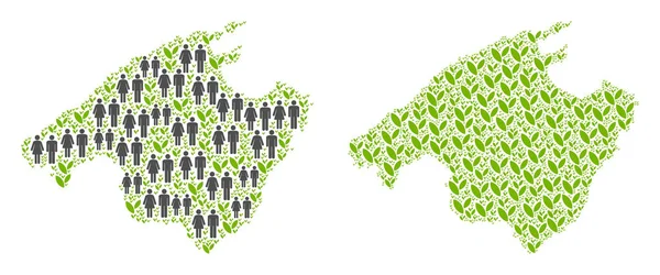 Demografi ve Flora İspanya Mallorca ada Haritası