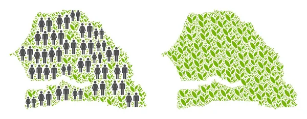 Demografi ve doğa Senegal haritası