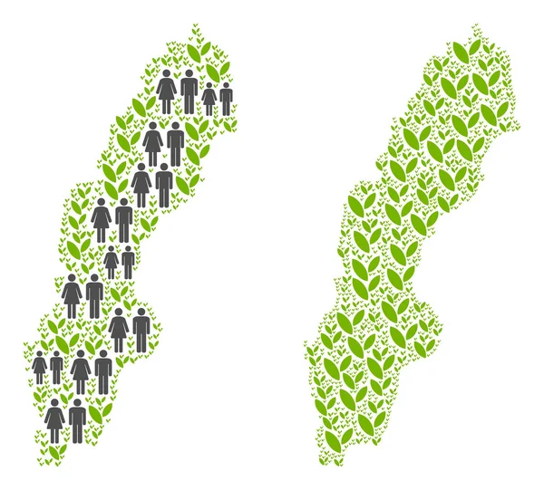 Demografi ve Doğa İsveç harita