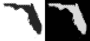 Noktalı yarım ton Florida harita