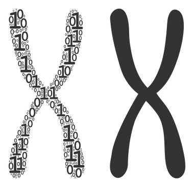 Kromozom kolaj ikili basamak