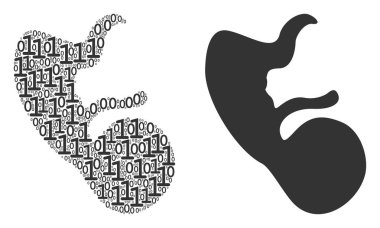 İnsan embriyo kolaj ikili basamak