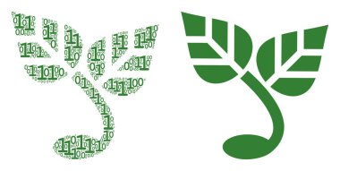 İkili basamak mozaiği filiz