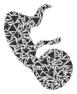 İnsan embriyo mozaik üçgen