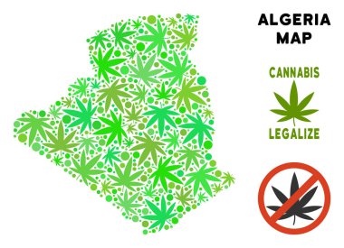 Telif ücretsiz esrar yaprakları kolaj Cezayir Haritası