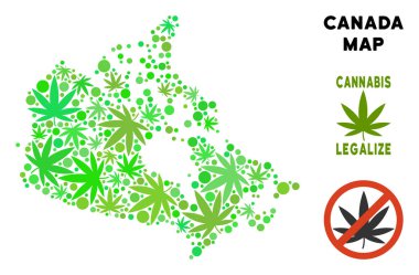 Telif ücretsiz esrar yaprakları kompozisyon Kanada harita