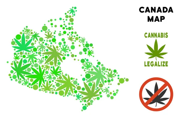 Telif ücretsiz esrar yaprakları kompozisyon Kanada harita