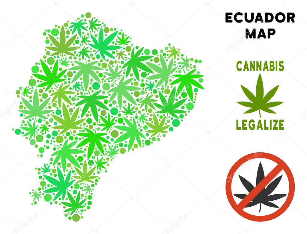 Royalty Free Marijuana Leaves Collage Ecuador Map