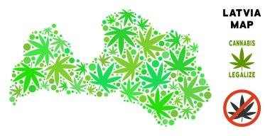 Telif ücretsiz esrar yaprakları mozaik Letonya haritası