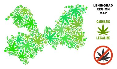 Telif ücretsiz kenevir yaprak kompozisyon Leningrad Oblast harita
