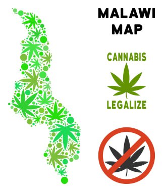 Telif ücretsiz kenevir yaprak kompozisyon Malavi Haritası
