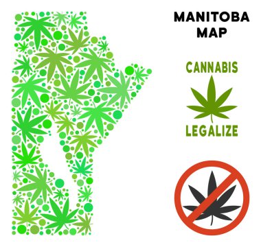 Telif ücretsiz esrar yaprakları mozaik Manitoba Eyaleti harita
