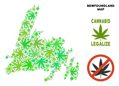 Telif ücretsiz esrar yaprakları mozaik Newfoundland Adası Haritası