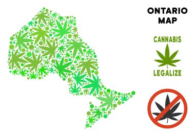 Telif ücretsiz esrar yaprakları stil Ontario Eyaleti harita