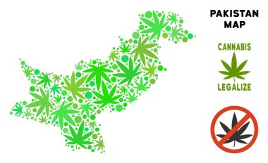 Telif ücretsiz esrar yaprakları kompozisyon Pakistan Haritası