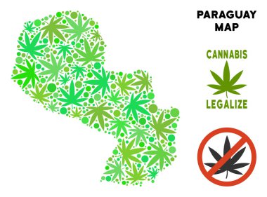 Telif ücretsiz esrar yaprakları kolaj Paraguay Haritası
