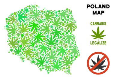 Telif ücretsiz kenevir yaprak kompozisyon Polonya harita