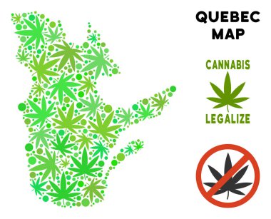 Telif ücretsiz esrar yaprakları kolaj Quebec eyaletinde yer harita