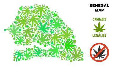 Telif ücretsiz kenevir yaprak kolaj Senegal haritası
