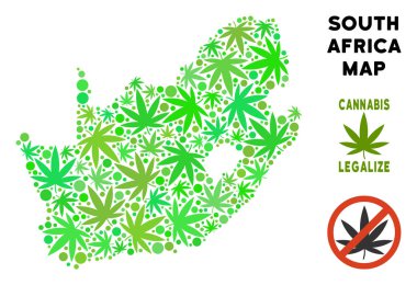 Telif ücretsiz esrar yaprakları mozaik Güney Afrika Cumhuriyeti harita