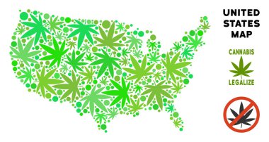 Telif ücretsiz esrar yaprakları kompozisyon ABD harita