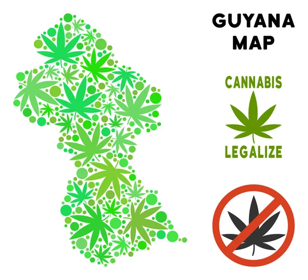 Telif ücretsiz esrar yaprakları mozaik Guyana Haritası — Stok Vektör