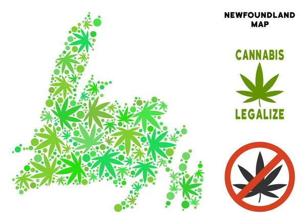 Telif ücretsiz esrar yaprakları mozaik Newfoundland Adası Haritası