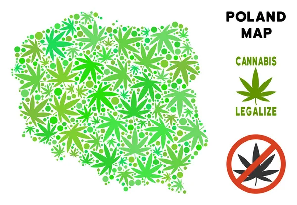 Telif ücretsiz kenevir yaprak kompozisyon Polonya harita