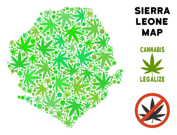 Telif ücretsiz kenevir yaprak kompozisyon Sierra Leone Haritası