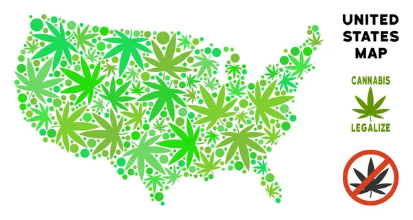 Telif ücretsiz esrar yaprakları kompozisyon ABD harita