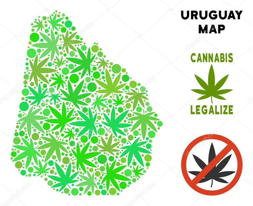 Royalty Free Marijuana Leaves Composition Uruguay Map