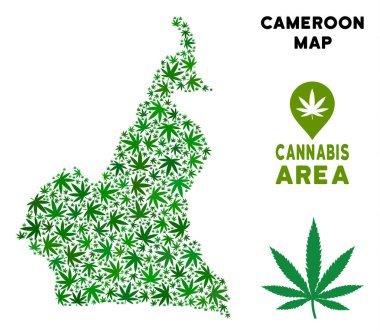 Vektör esrar kolaj Afrika Kamerun Haritası