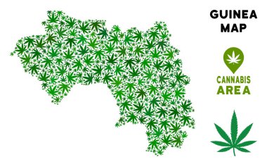 Vektör esrar kolaj Afrika Gine Haritası