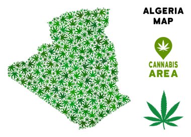 Vektör esrar kompozisyon Cezayir Haritası