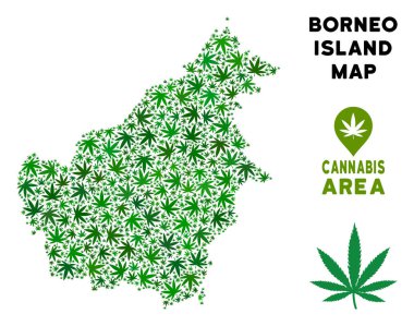 Vektör esrar kolaj Borneo Adası Haritası