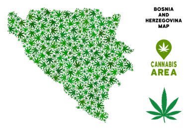 Vektör esrar kolaj Bosna Hersek harita