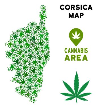 Vektör esrar kolaj Korsika Fransa ada Haritası