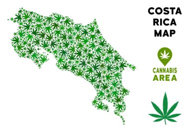 Vektör esrar kompozisyon Kosta Rika Haritası