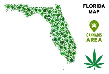 Vektör esrar kompozisyon Florida harita