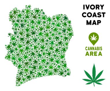 Vektör esrar kompozisyon Fildişi Sahili haritası